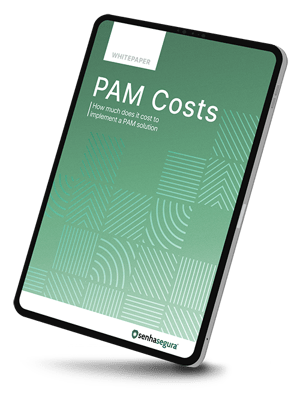 ebook_senhasegura_pam-solution-costs